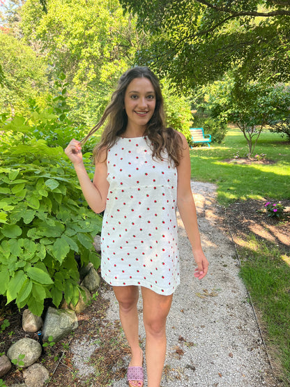 Betsy Strawberry Shift Dress